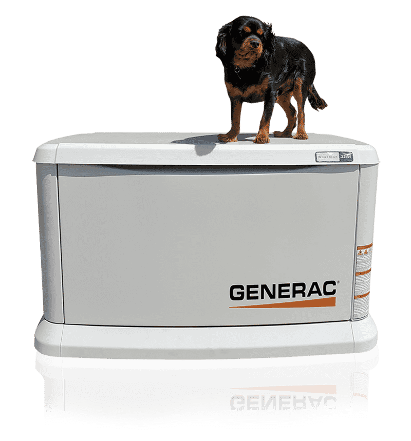 generac-guardian-25kw-and-dog